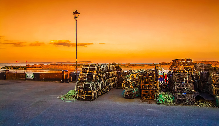 fishing-near-beach-in-christchurch-new-zealand